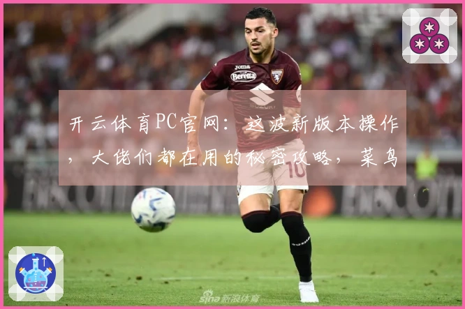 开云体育PC官网：这波新版本操作，大佬们都在用的秘密攻略，菜鸟也能变大神！