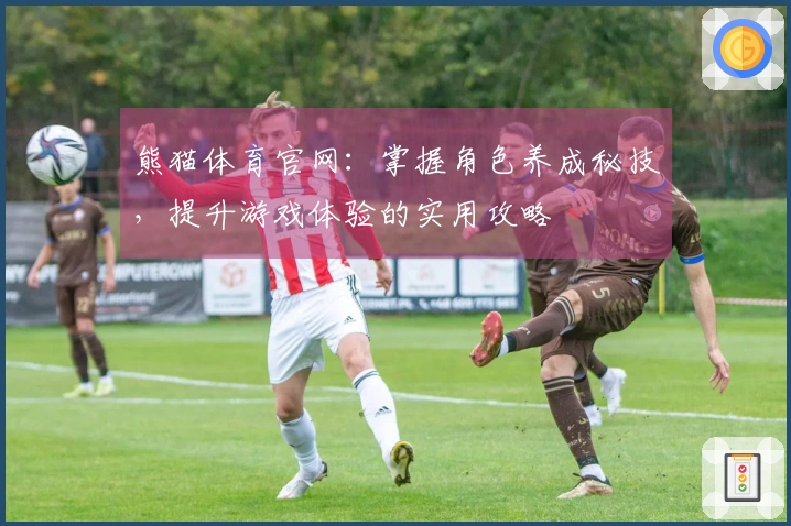 熊猫体育官网：掌握角色养成秘技，提升游戏体验的实用攻略