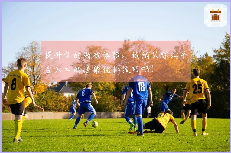 提升你的游戏体验，试试买球站平台入口的性能优化技巧吧！